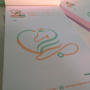 Papeleria 2